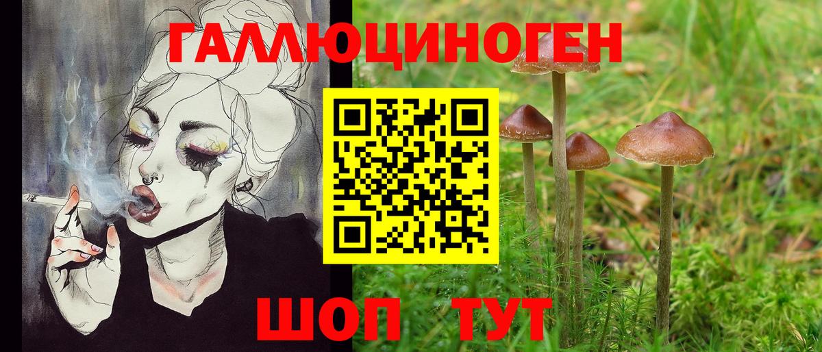 Екатеринбург  Псилоцибиновые грибы мухоморы  Вход с VPN 